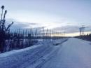 A view of the vast HAARP antenna array. [Chris Fallen, KL3WX, photo]